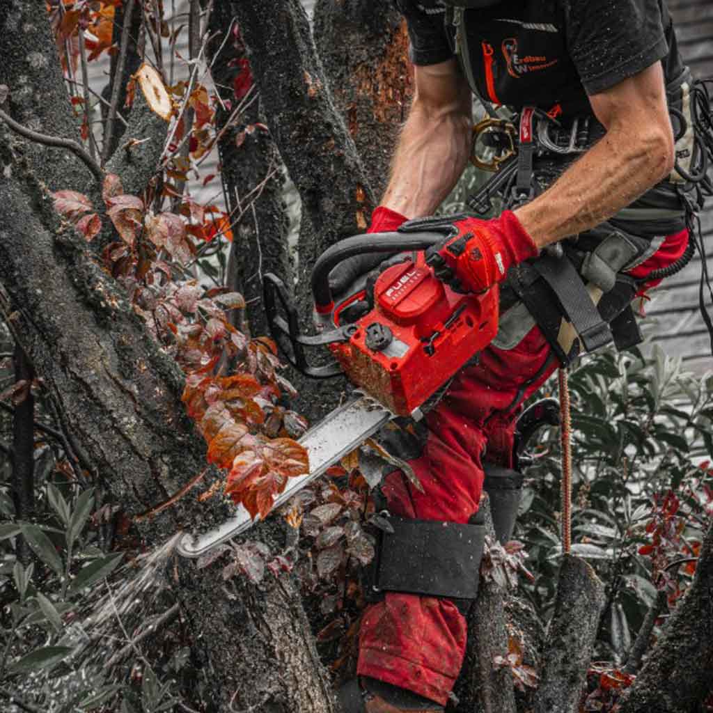 Milwaukee Elettrosega TopHandle Taglio Alberi